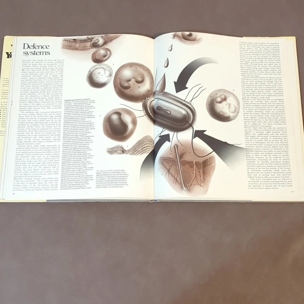 1982 The Way Your Body Works hard cover book Artists House Stonehouse Netherland